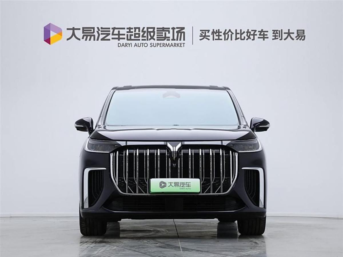 嵐圖 夢(mèng)想家  2024款 PHEV 超長(zhǎng)續(xù)航旗艦版圖片