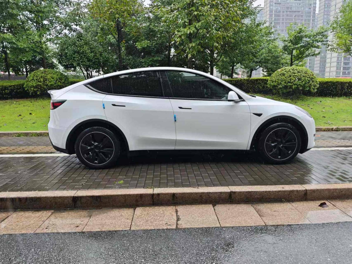 特斯拉 Model Y  2020款 改款 長(zhǎng)續(xù)航后輪驅(qū)動(dòng)版圖片