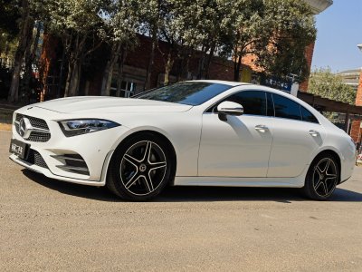 2021年1月 奔馳 奔馳CLS級(進口) CLS 300 豪華型圖片