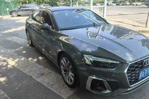 奧迪S7 奧迪 2.9 TFSI quattro