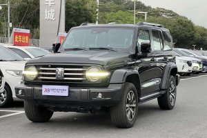坦克300 坦克 城市版 2.0T 很有型