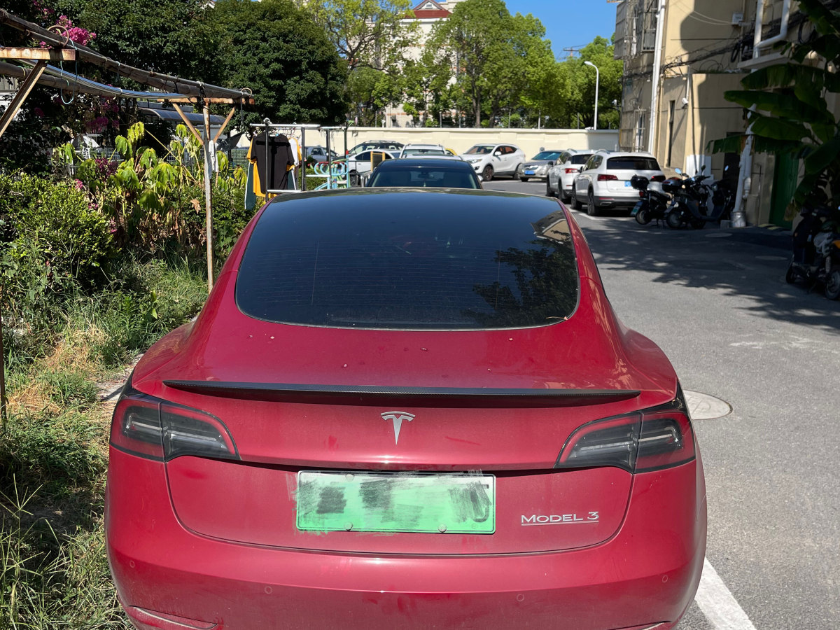 特斯拉 Model 3  2019款 Performance高性能全輪驅(qū)動(dòng)版圖片