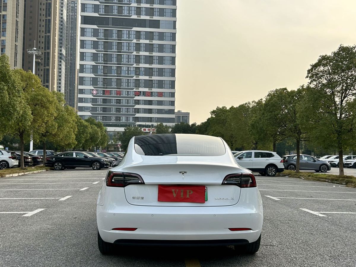 特斯拉 Model 3  2019款 標(biāo)準(zhǔn)續(xù)航后驅(qū)升級(jí)版圖片