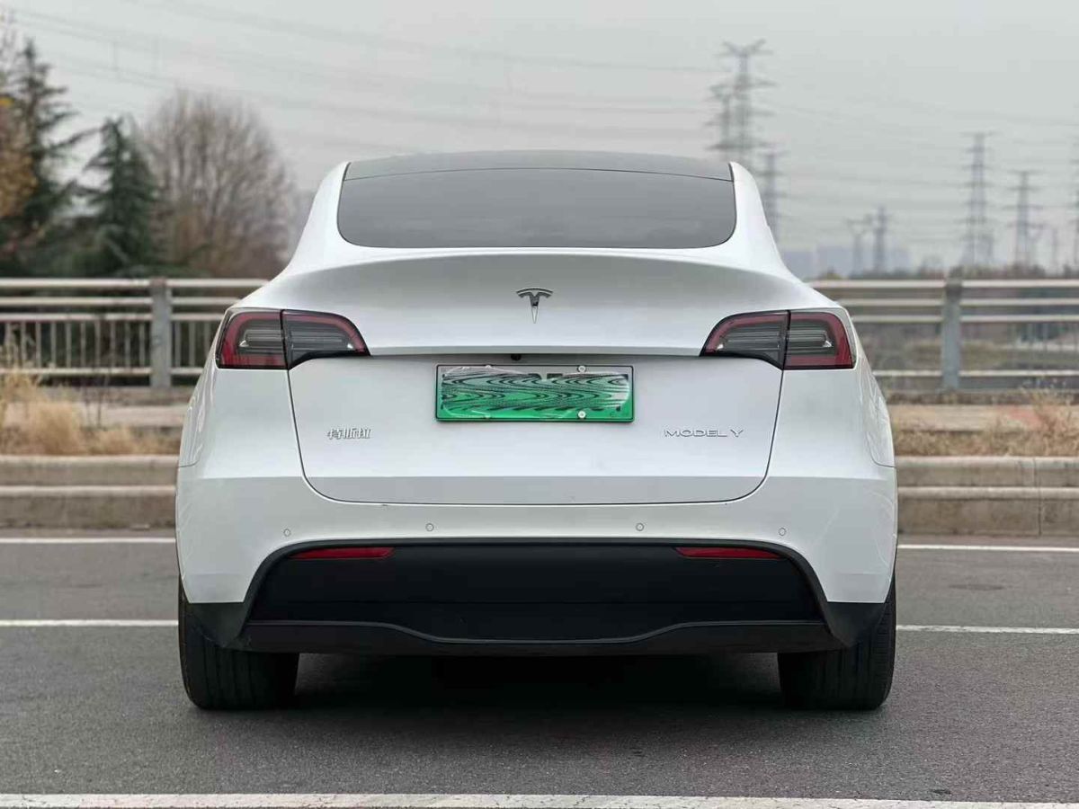 特斯拉 Model Y  2024款 Performance高性能版圖片