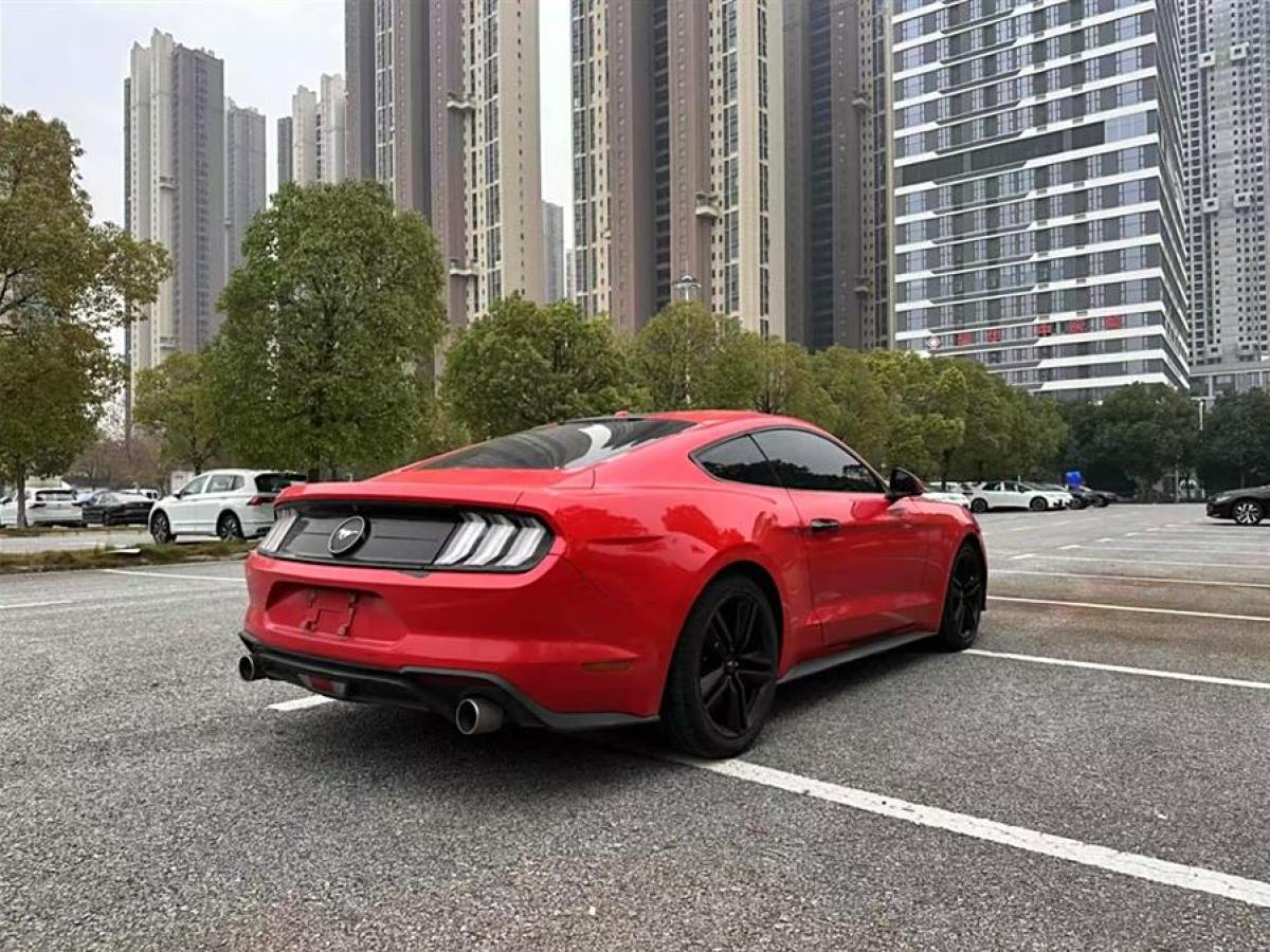 福特 Mustang  2019款 2.3L EcoBoost圖片