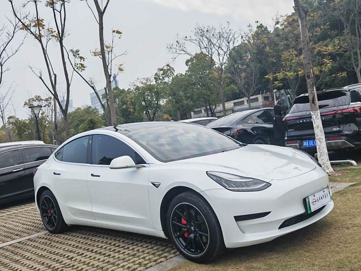 特斯拉 Model 3  2019款 標準續(xù)航后驅(qū)升級版圖片