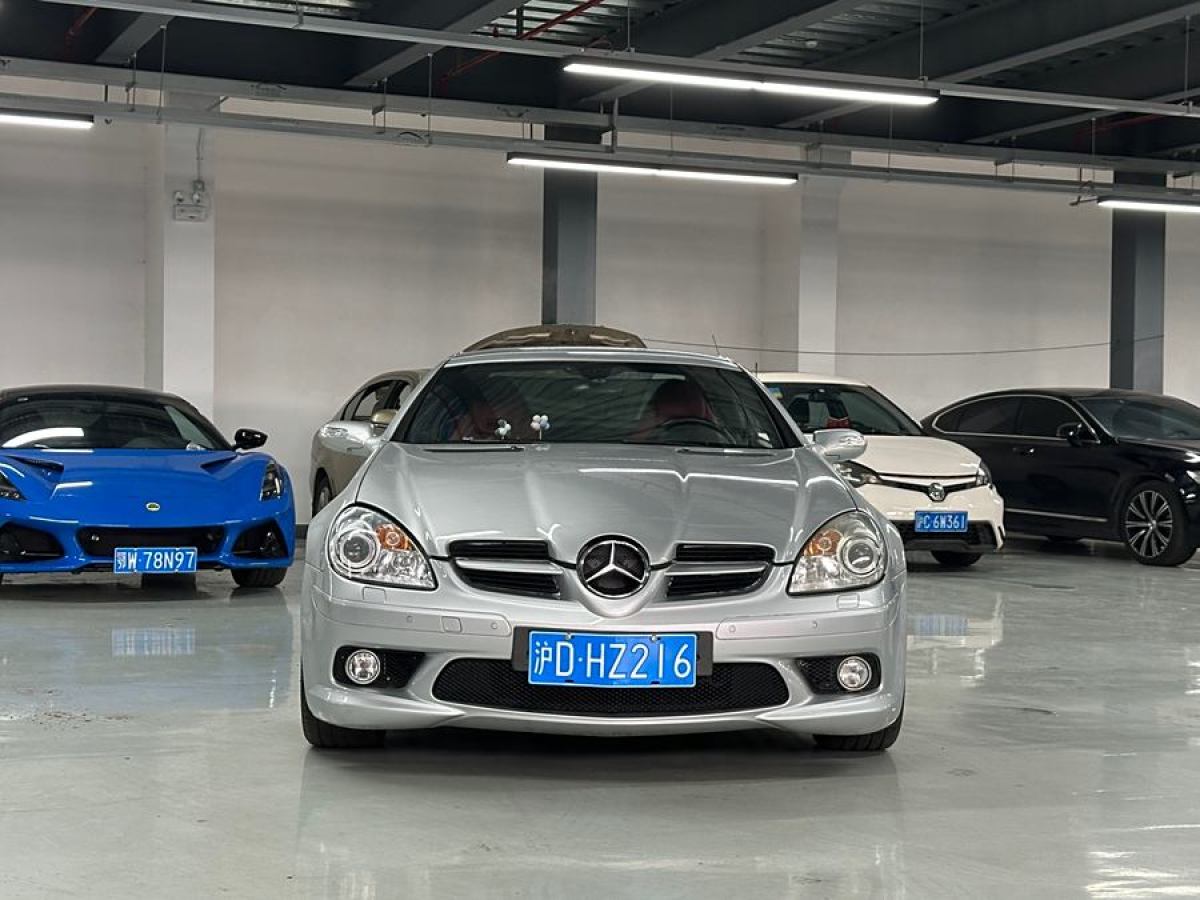 奔馳 奔馳SLK級(jí)  2008款 SLK 280 PASSION圖片