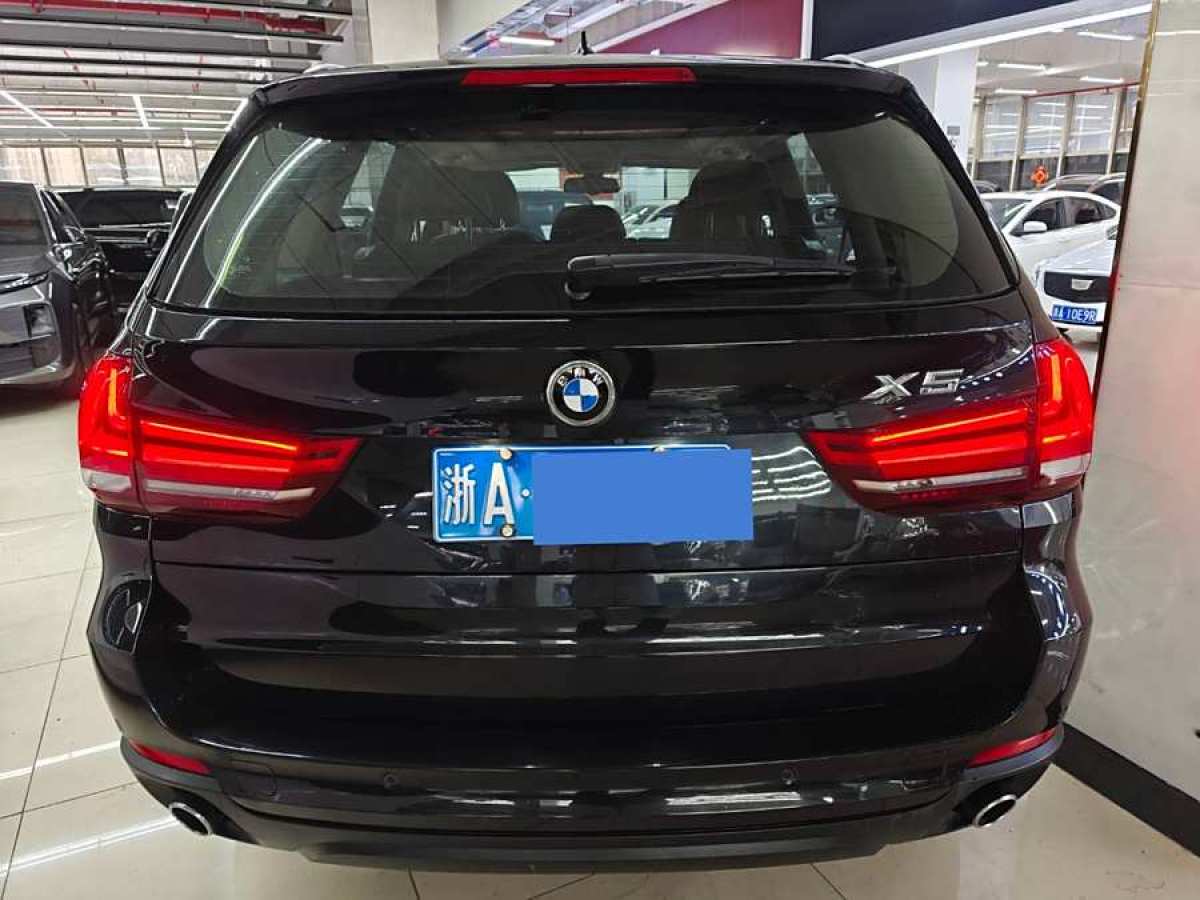 寶馬 寶馬X5  2014款 xDrive35i 領(lǐng)先型圖片