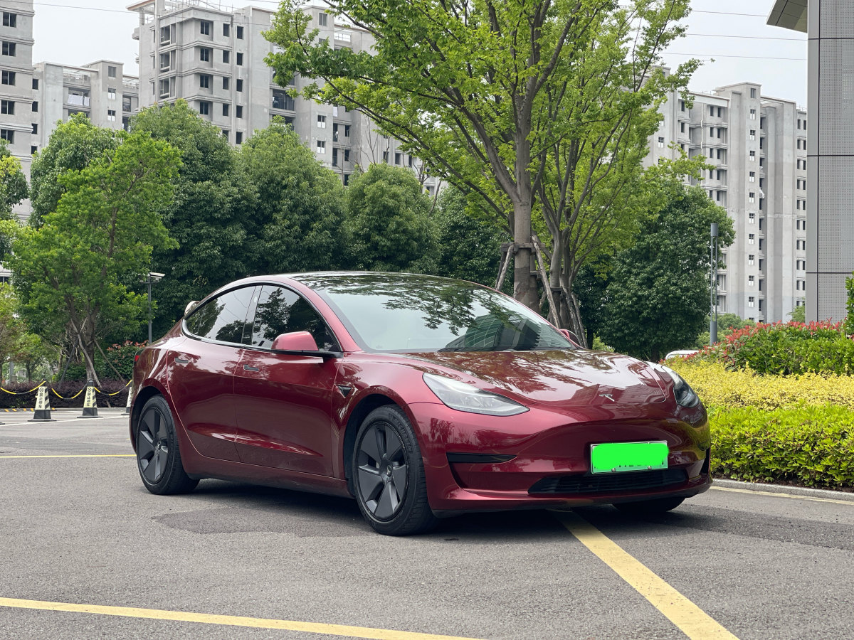 特斯拉 Model 3  2020款 改款 標準續(xù)航后驅升級版圖片