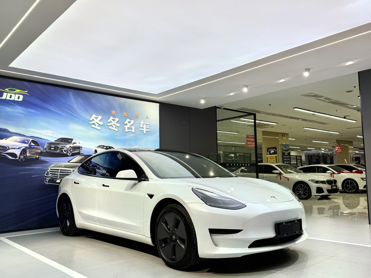 特斯拉 Model 3  2019款 標(biāo)準(zhǔn)續(xù)航后驅(qū)升級(jí)版圖片