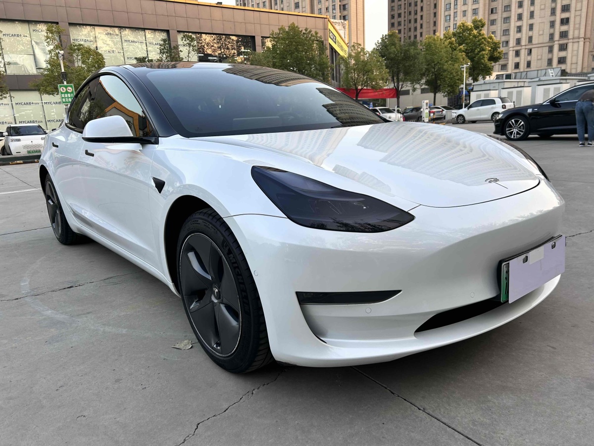 特斯拉 Model 3  2020款 改款 長續(xù)航后輪驅(qū)動版圖片