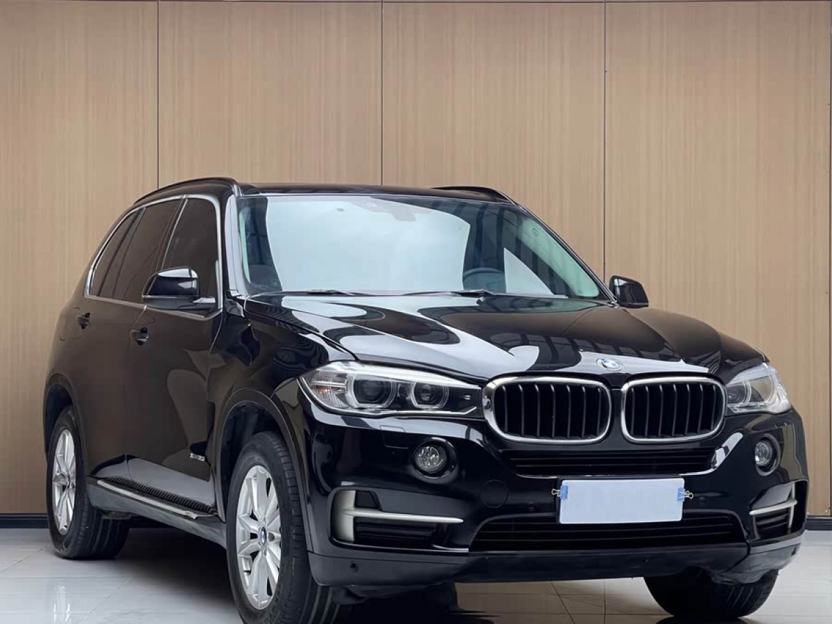 寶馬 寶馬X5  2014款 xDrive35i 典雅型圖片