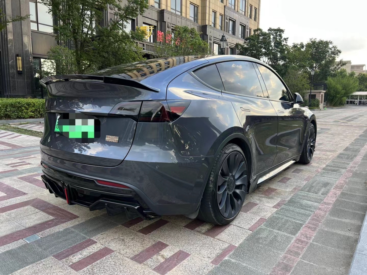 特斯拉 Model Y  2022款 Performance高性能全輪驅(qū)動版圖片