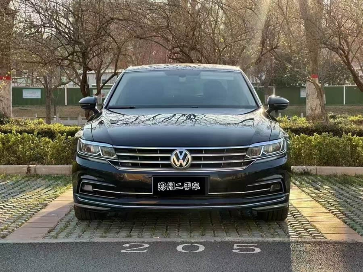 大眾 輝昂  2019款  380TSI 兩驅(qū)商務版 國V圖片