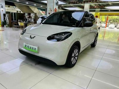 2024年1月 五菱 五菱繽果PLUS 330km 五座版圖片
