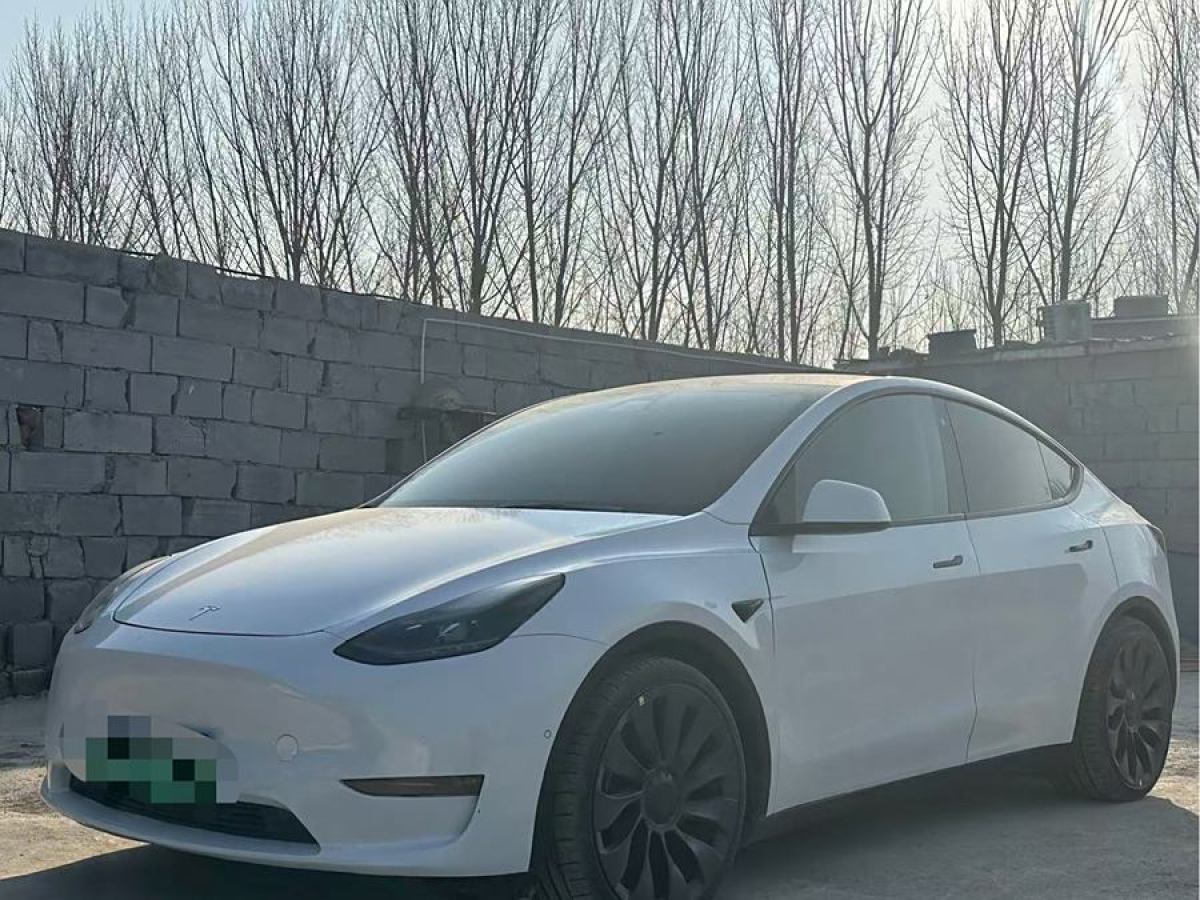 特斯拉 Model 3  2022款 Performance高性能全輪驅(qū)動(dòng)版圖片