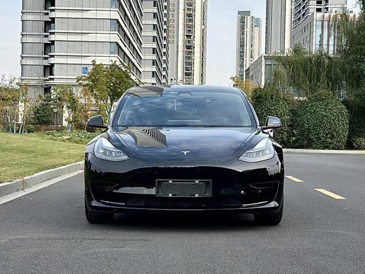 特斯拉 Model 3  2021款 改款 標(biāo)準(zhǔn)續(xù)航后驅(qū)升級版圖片