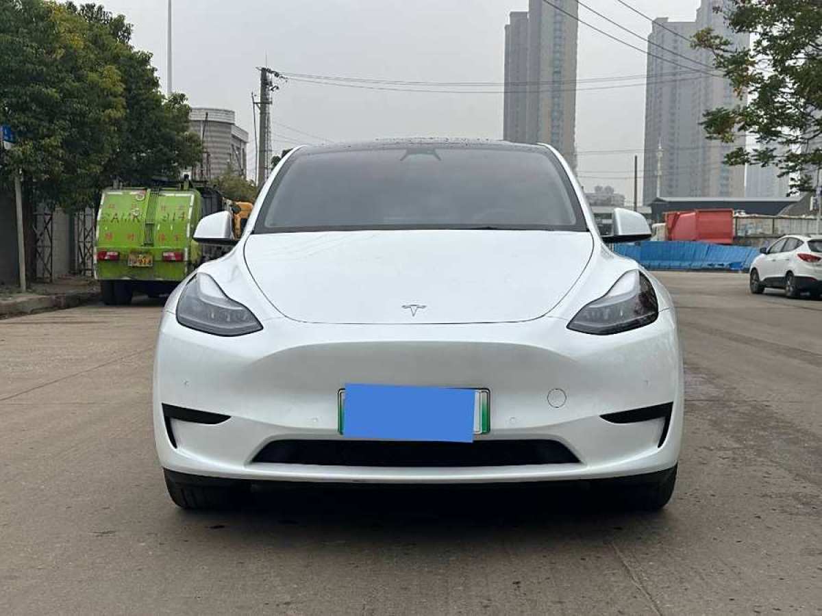 特斯拉 Model 3  2020款 改款 長續(xù)航后輪驅(qū)動版圖片