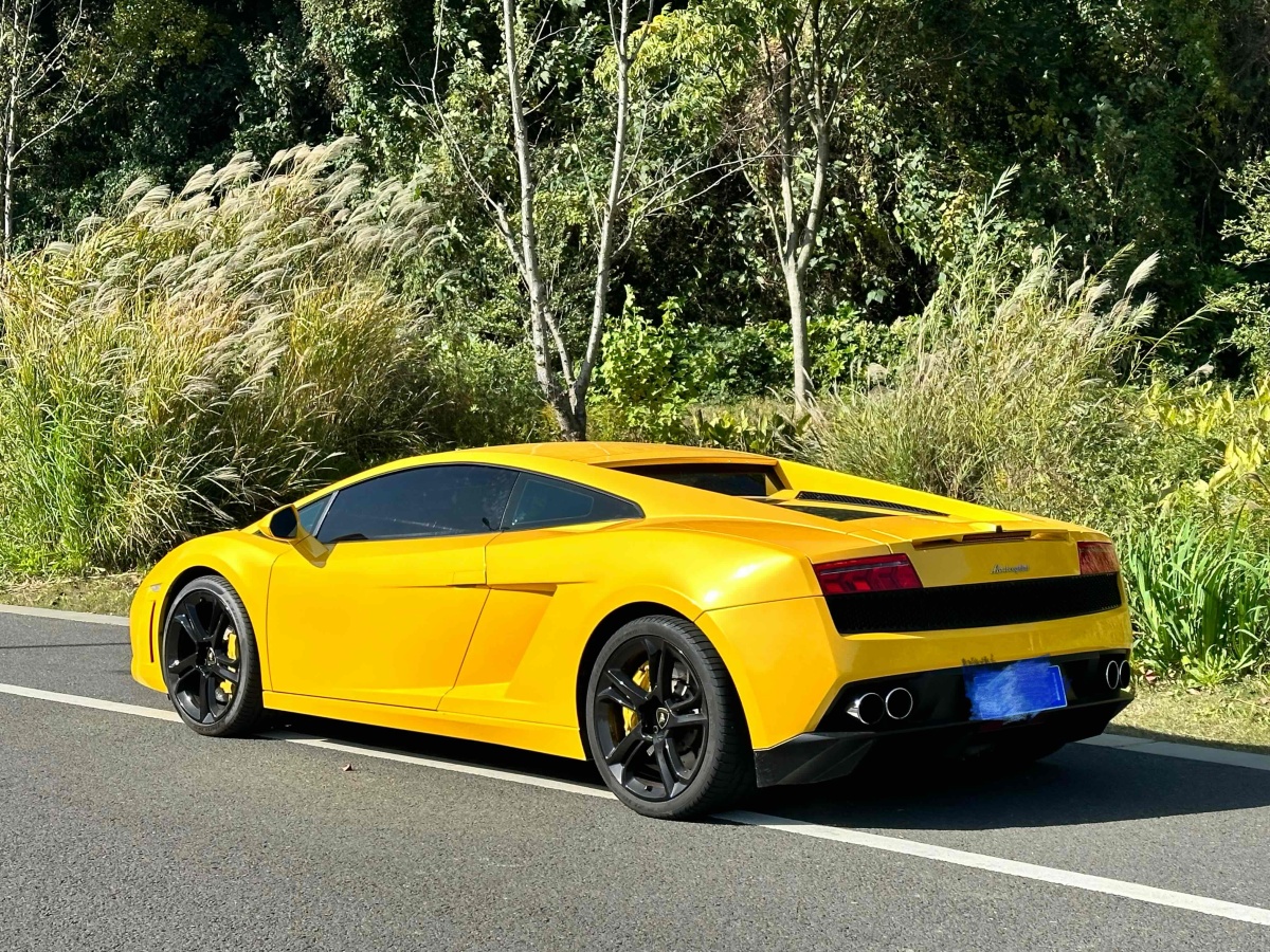 蘭博基尼 Gallardo  2011款 LP 550-2 Tricolore圖片