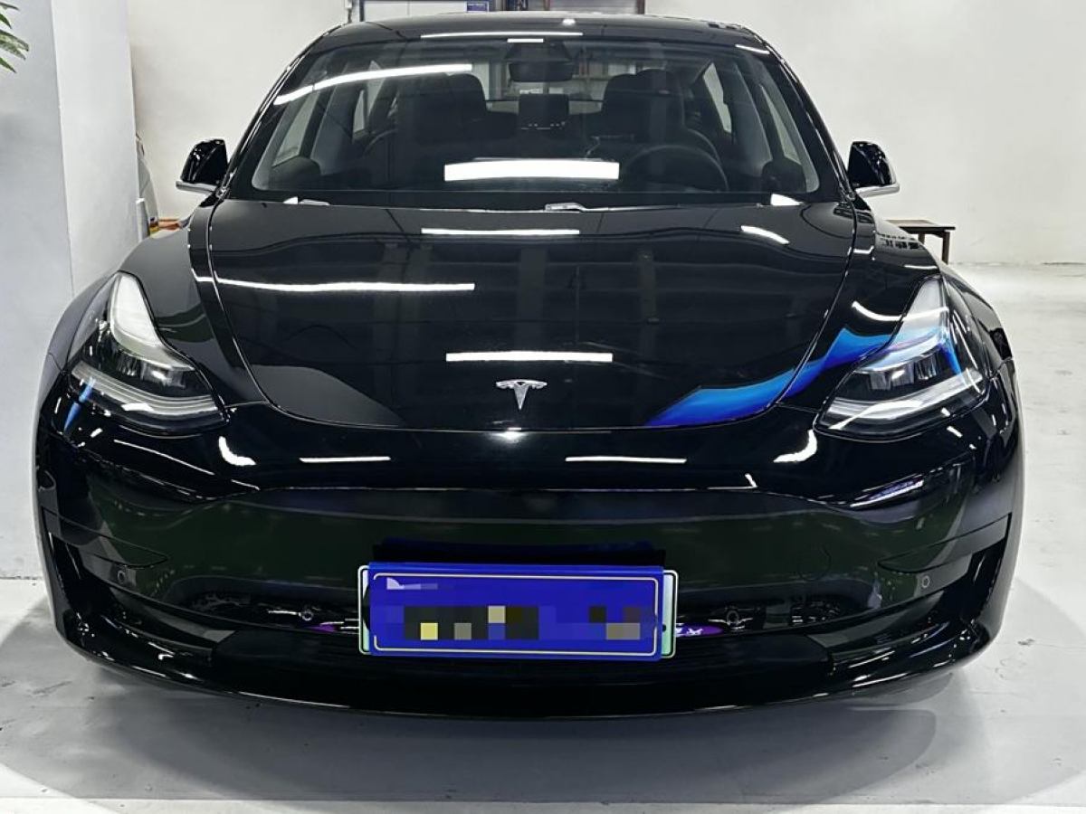 特斯拉 Model 3  2021款 改款 標(biāo)準(zhǔn)續(xù)航后驅(qū)升級(jí)版圖片