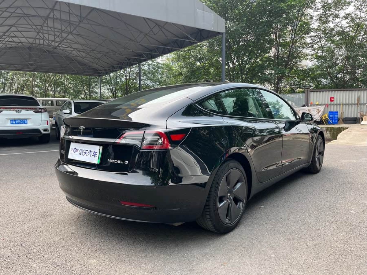 特斯拉 Model 3  2021款 改款 標準續(xù)航后驅(qū)升級版圖片