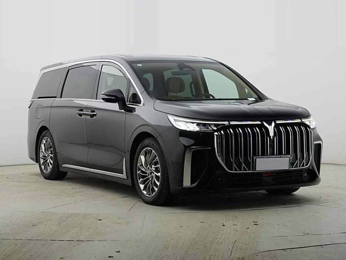 嵐圖 夢想家  2024款 PHEV 超長續(xù)航尊貴版圖片