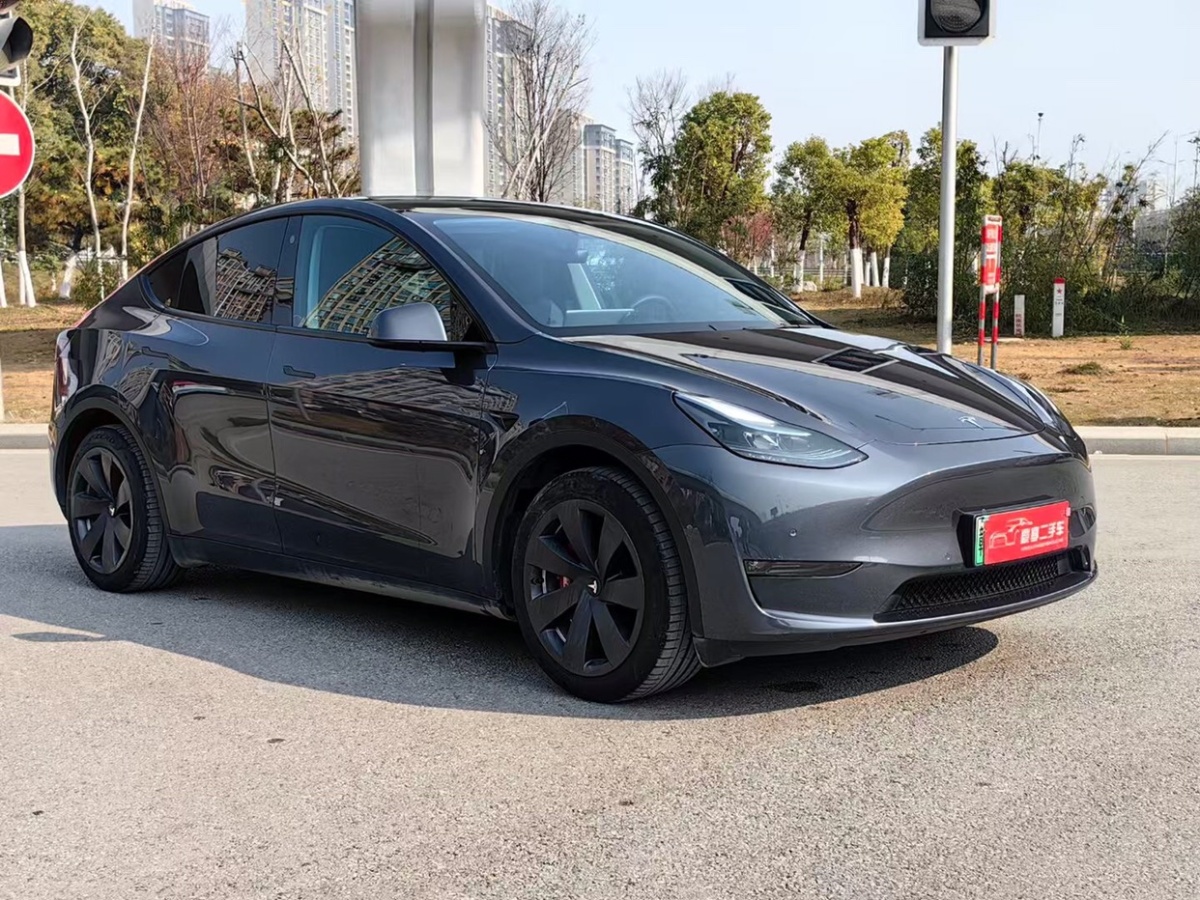 特斯拉 Model Y  2022款 后驅(qū)版圖片