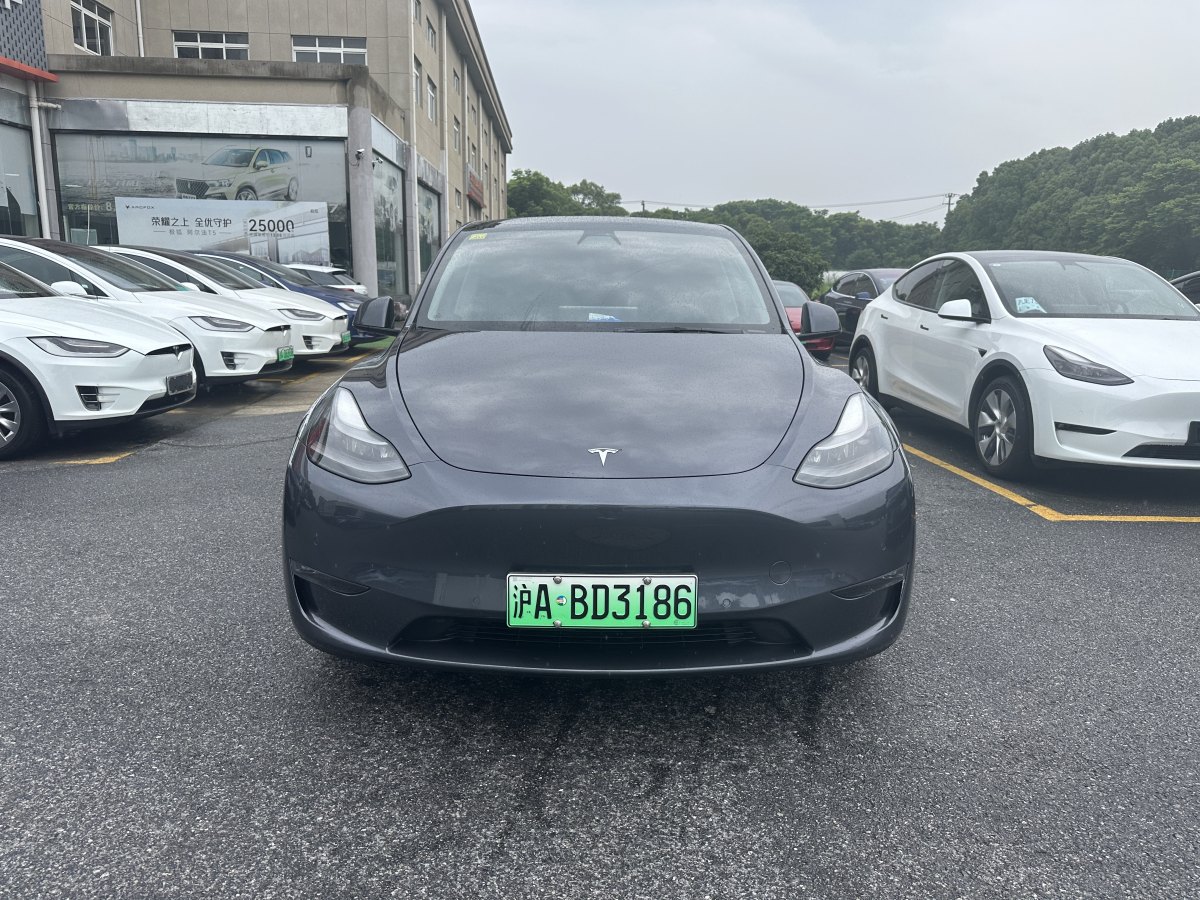 2021年6月特斯拉 Model Y  2021款 長續(xù)航全輪驅(qū)動(dòng)版 3D7