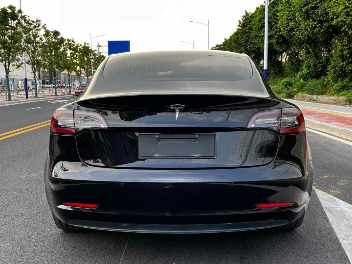 2020年1月特斯拉 Model Y  2020款 標準續(xù)航后驅升級版