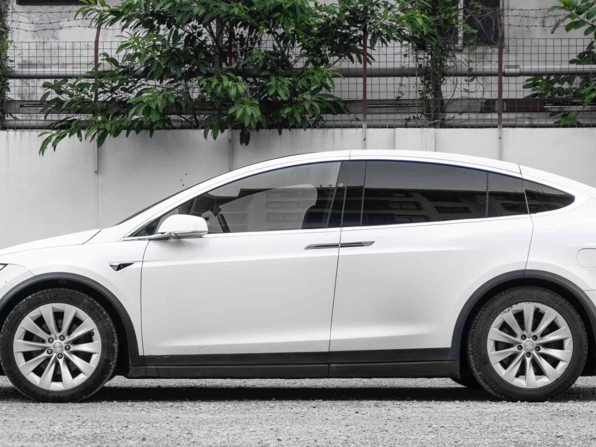 2020年1月特斯拉 Model X  2019款 長(zhǎng)續(xù)航版