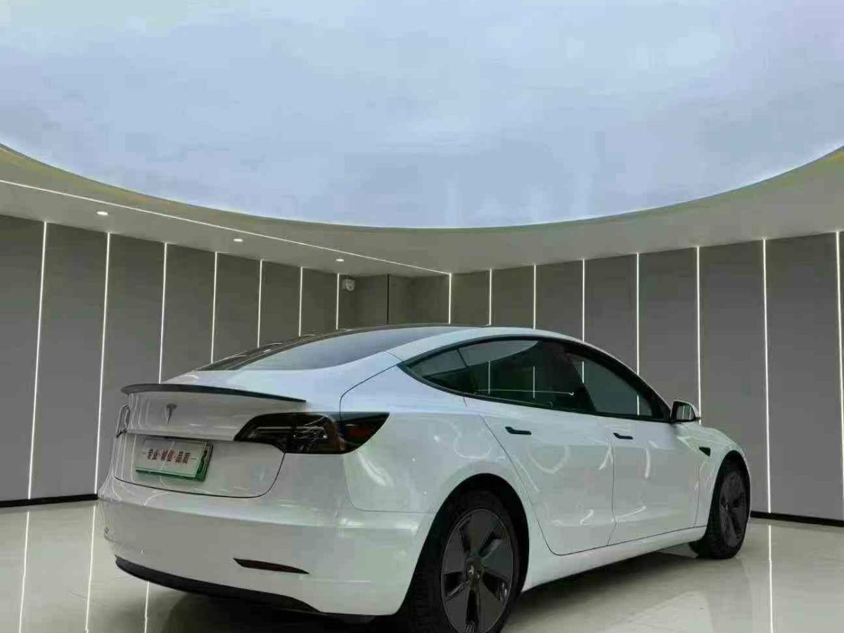 特斯拉 Model Y  2022款 Performance高性能全輪驅(qū)動(dòng)版圖片