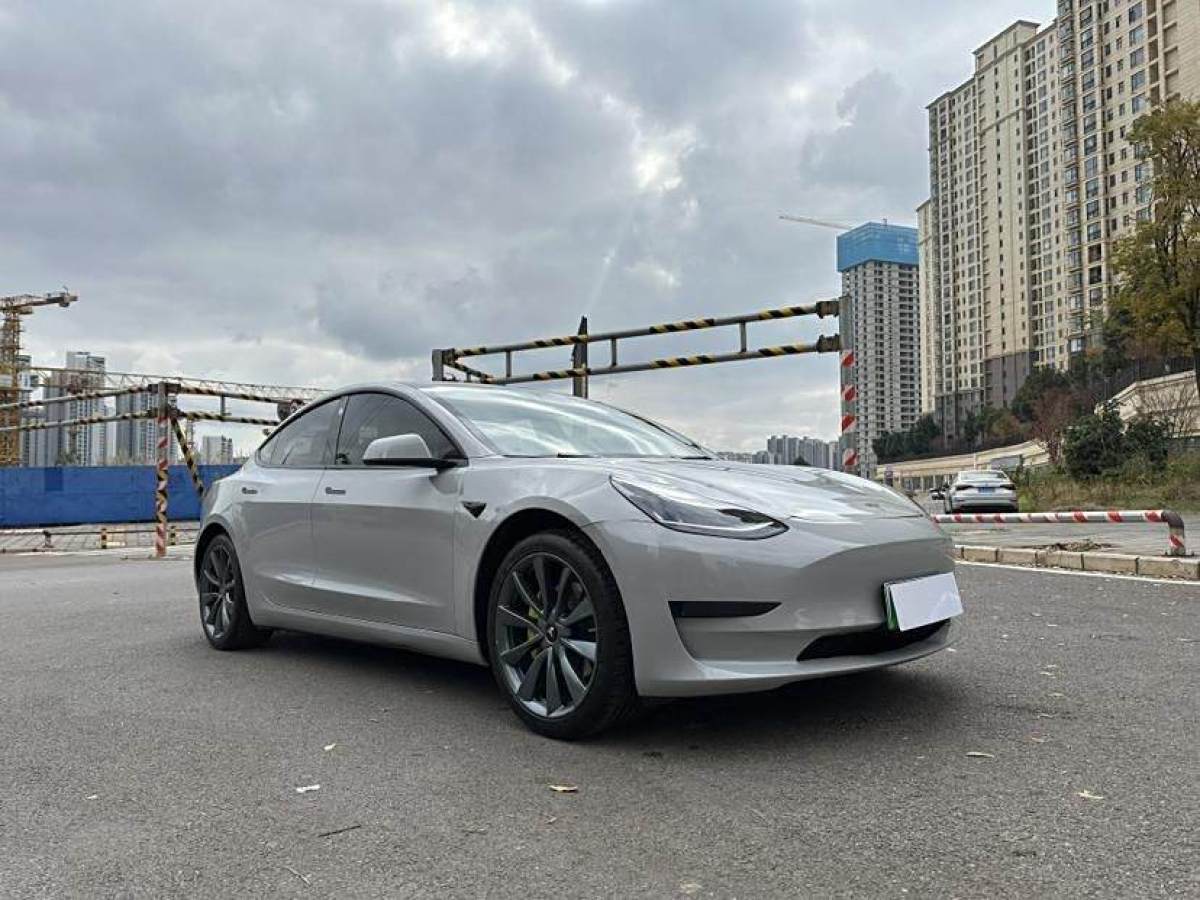 特斯拉 Model 3  2019款 標(biāo)準(zhǔn)續(xù)航后驅(qū)升級(jí)版圖片