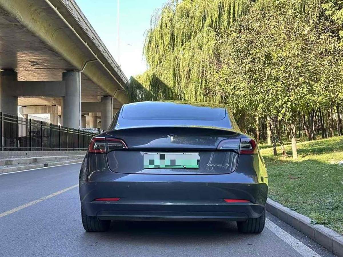 特斯拉 Model Y  2020款 改款 標準續(xù)航后驅(qū)升級版圖片