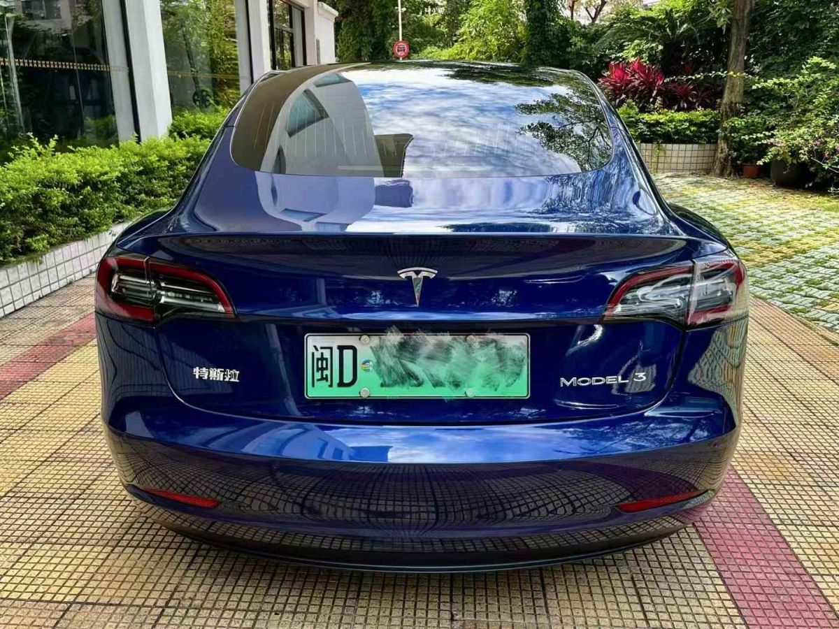 特斯拉 Model X  2020款 Performance 高性能版圖片