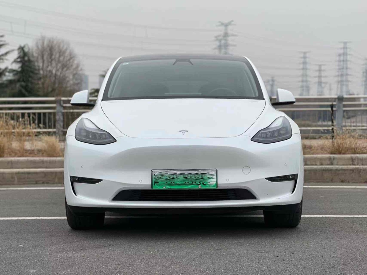 特斯拉 Model 3  2022款 后輪驅(qū)動(dòng)版圖片