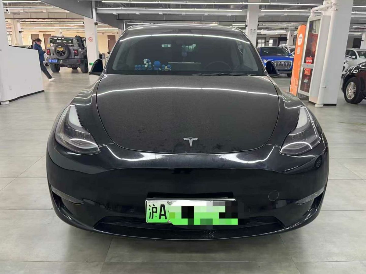 特斯拉 Model Y  2021款 標(biāo)準(zhǔn)續(xù)航后驅(qū)版圖片