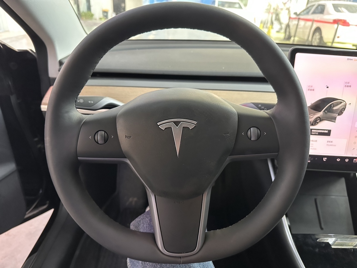 特斯拉 Model 3  2019款 標(biāo)準(zhǔn)續(xù)航后驅(qū)升級版圖片