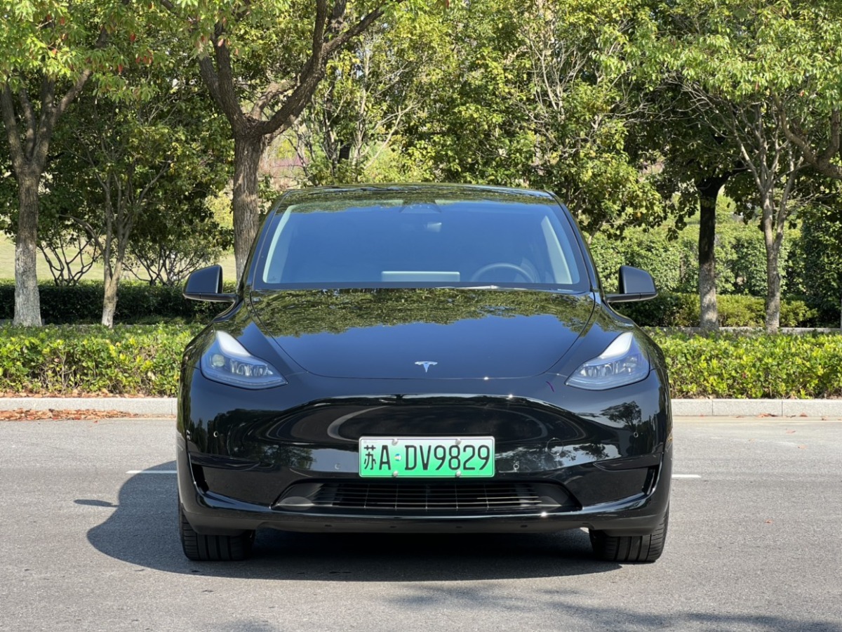 特斯拉 Model Y  2021款 改款 標準續(xù)航后驅(qū)升級版圖片