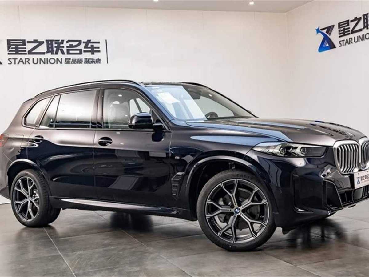 寶馬 寶馬X5  2023款 xDrive 30Li 尊享型M運(yùn)動(dòng)曜夜套裝圖片