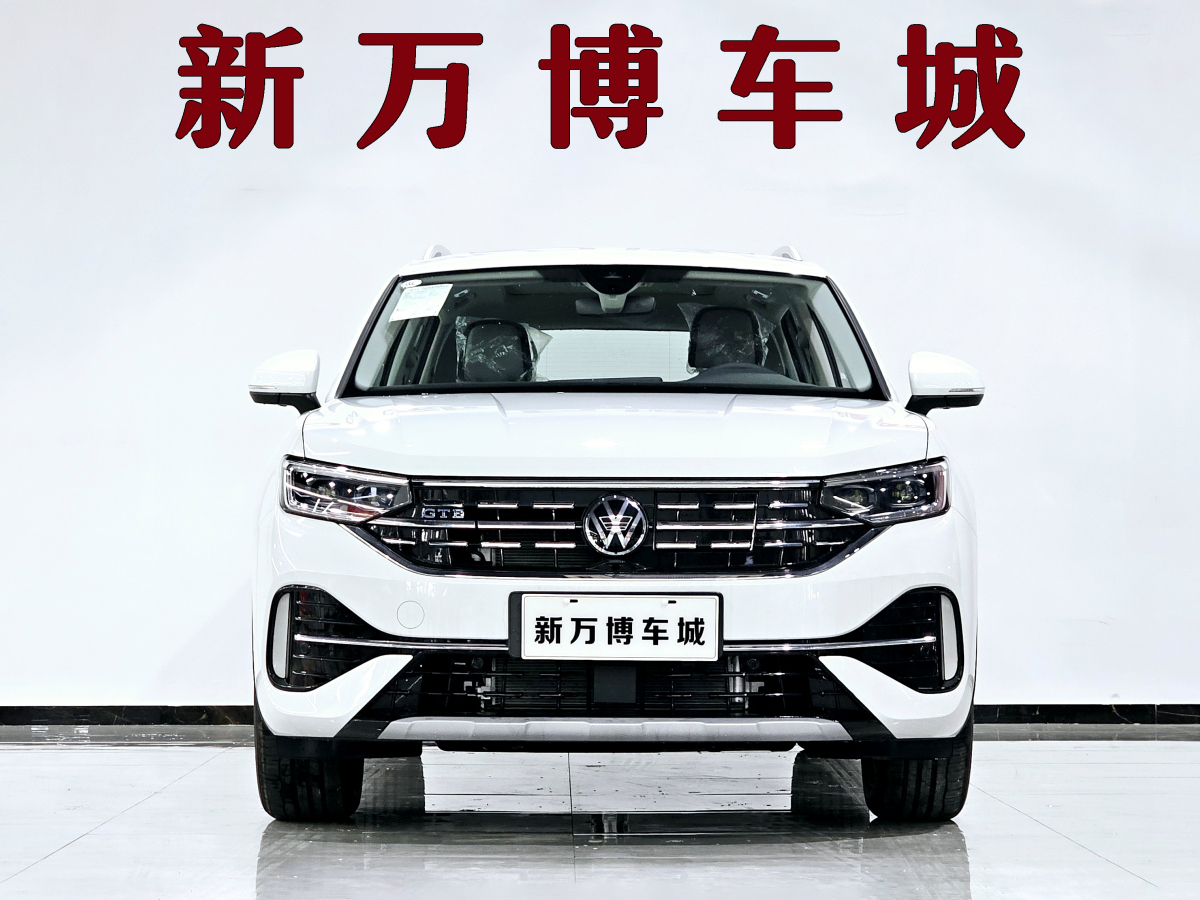 大众 探岳GTE  2024款 280TSI 豪华Plus进阶版图片