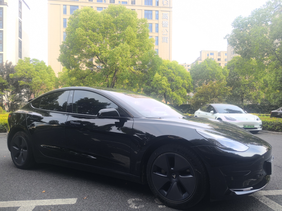 特斯拉 Model 3  2021款 標(biāo)準(zhǔn)續(xù)航后驅(qū)升級版 3D6圖片