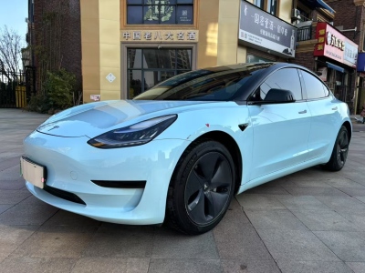 2020年05月 特斯拉 Model 3 標(biāo)準(zhǔn)續(xù)航后驅(qū)升級(jí)版圖片