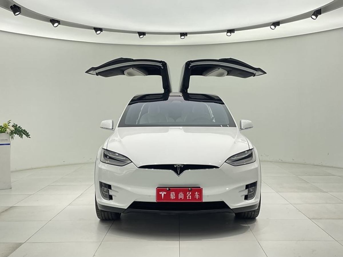 特斯拉 Model X  2019款 長續(xù)航版圖片