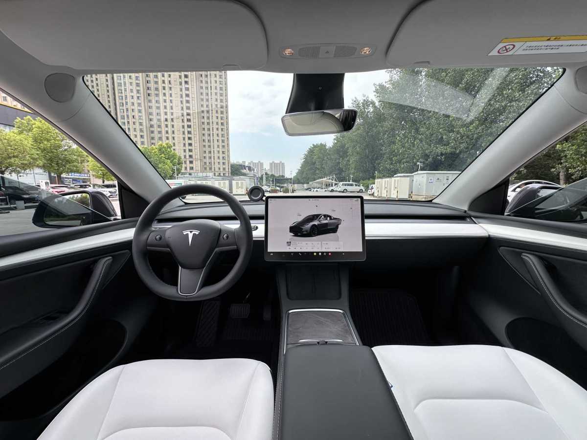 特斯拉 Model Y  2020款 改款 長續(xù)航后輪驅(qū)動版圖片