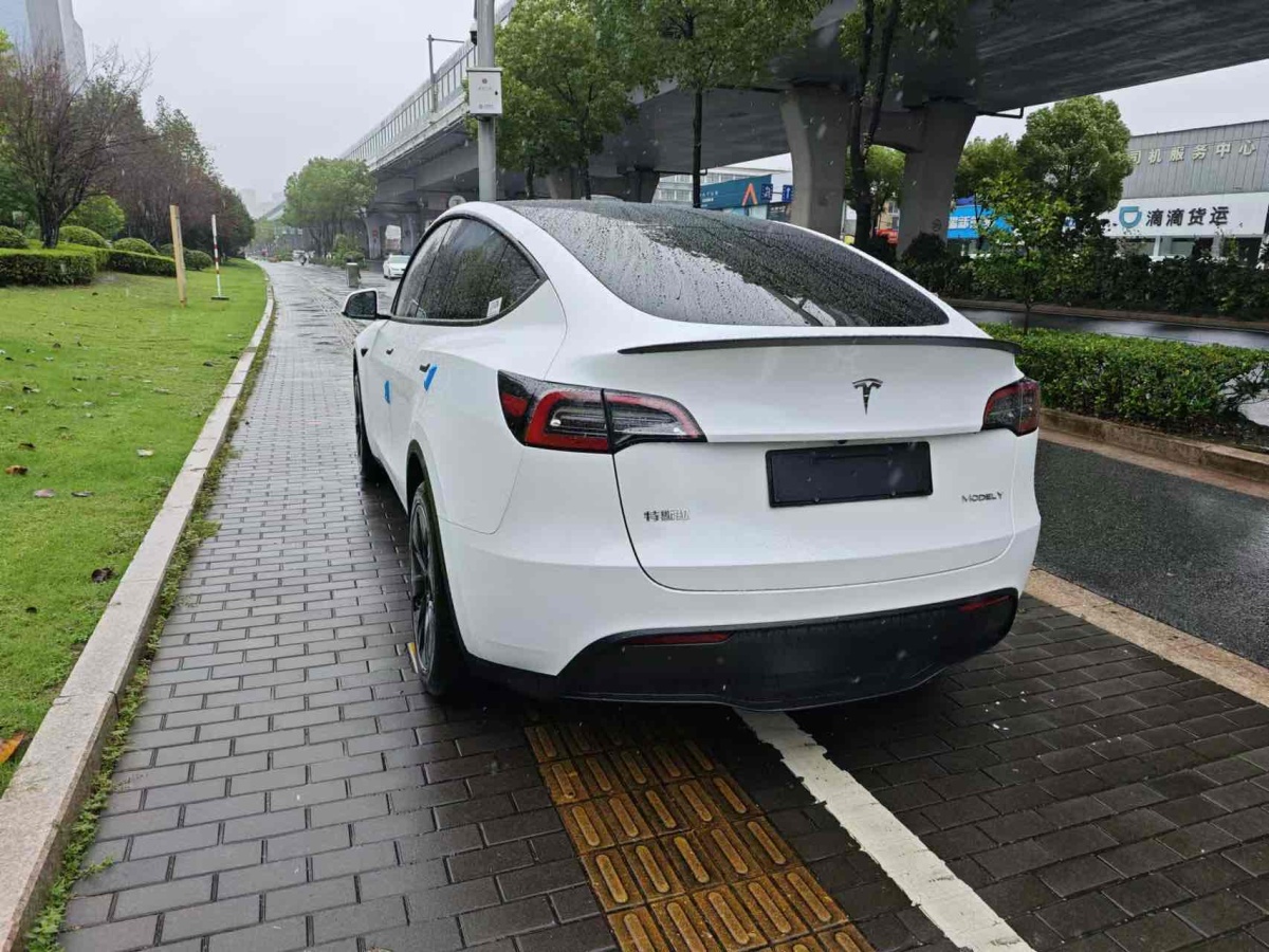 特斯拉 Model 3  2020款 改款 長續(xù)航后輪驅(qū)動版圖片