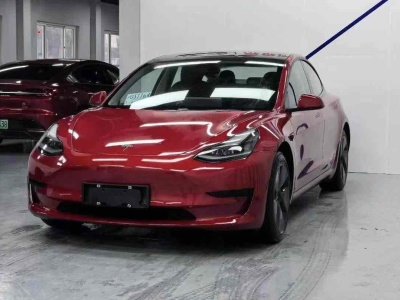 2021年3月 特斯拉 Model 3 标准续航后驱升级版图片