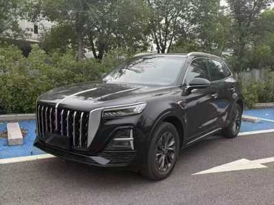 2024年7月 紅旗 紅旗HS5 2.0T 旗享Pro版圖片