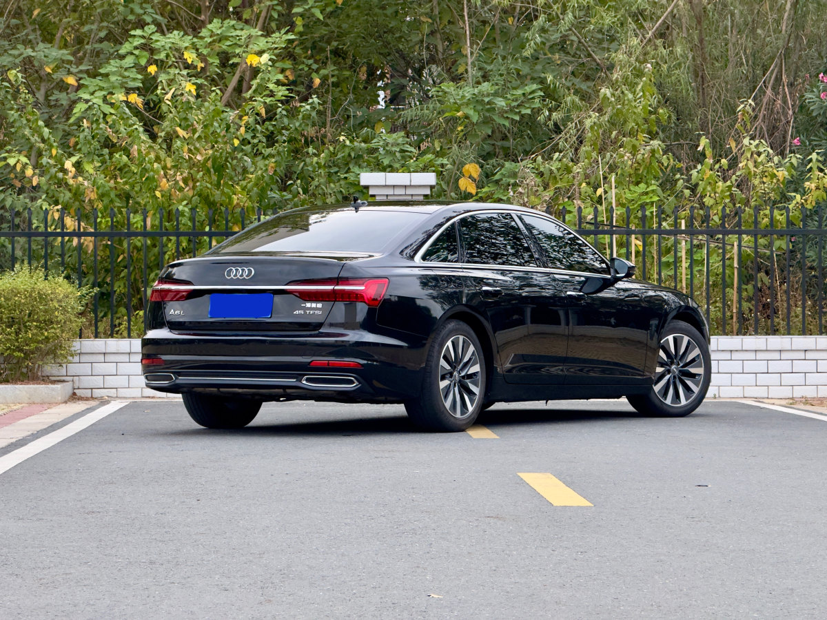 奧迪 奧迪A6L  2020款 45 TFSI 臻選致雅型圖片