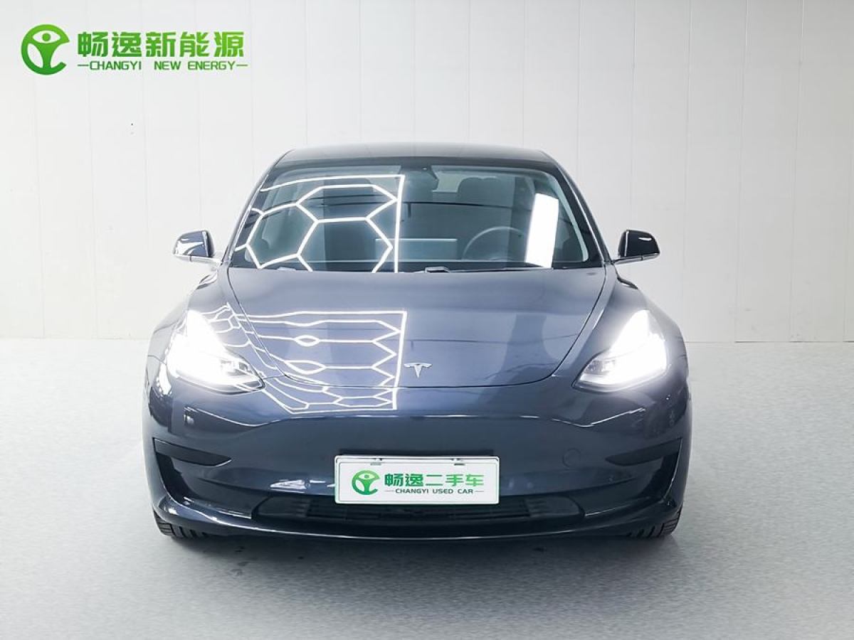 特斯拉 Model 3  2019款 標準續(xù)航后驅升級版圖片