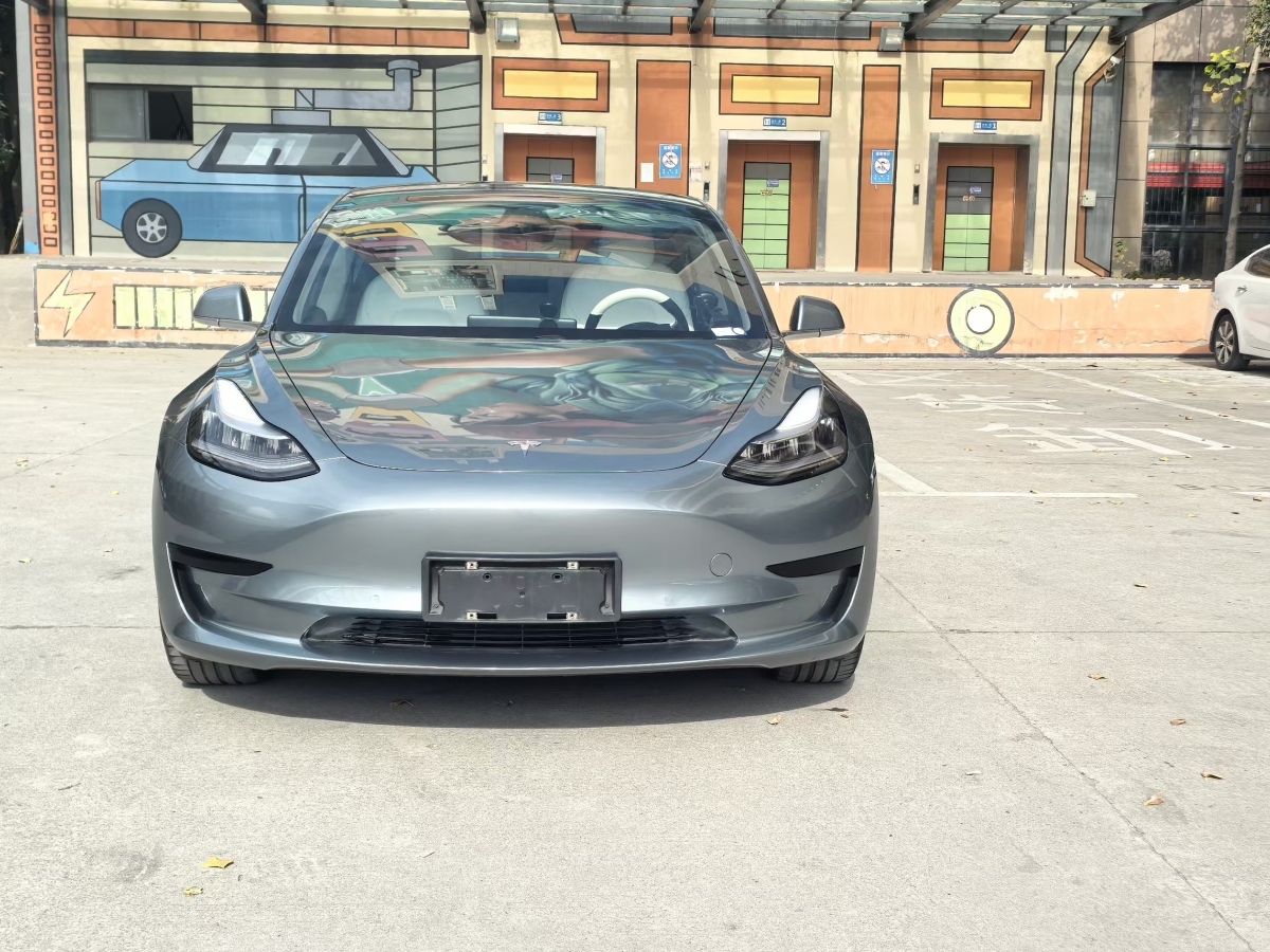 特斯拉 Model 3  2019款 標(biāo)準(zhǔn)續(xù)航后驅(qū)升級版圖片